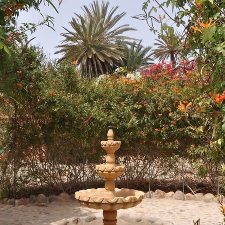 La Palmeraie De Massa Zaouit Massa Zewnętrze zdjęcie
